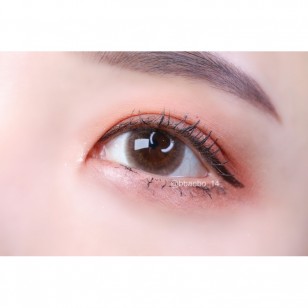 LENSME Megalook Fallin Choco(月拋)